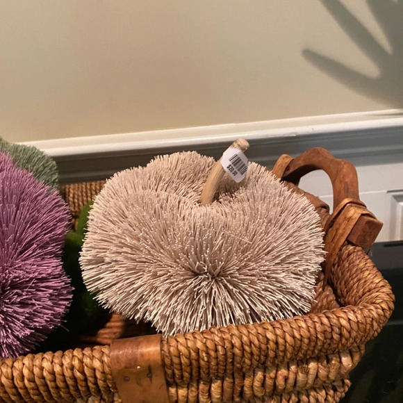 NWT ANTHROPOLOGIE TERRAIN Beige  BRUSH BOTTLE PUMPKIN - Picture 4 of 6